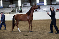 PacSlope19_SatEve_5340