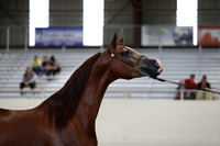 PacSlope19_SatEve_5341
