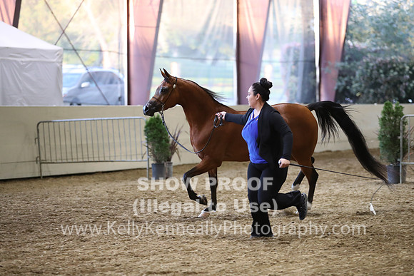 PacSlope19_SatEve_5417