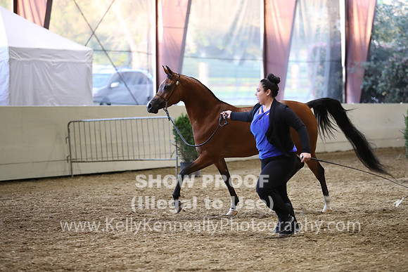 PacSlope19_SatEve_5418