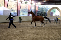 PacSlope19_SatEve_5424