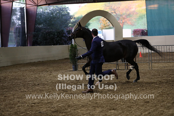 PacSlope19_SatEve_5575
