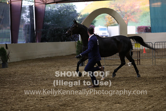 PacSlope19_SatEve_5576