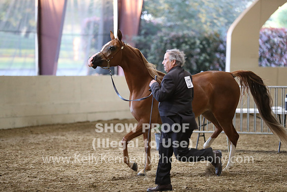 PacSlope19_SatEve_5446