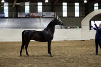 PacSlope19_SatEve_5588