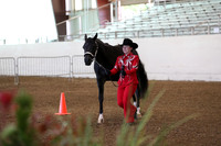 Class 310 Pacific Slope Champ Youth Halter Showmanship JTH 18 & Under