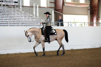 Class 313 Pacific Slope Champ HA/AA Western Pleasure Open
