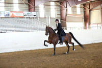Class 315 Pacific Slope Champ HA/AA English Open