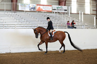 Class 317 Pacific Slope Champ HA/AA Hunter Pleasure Jackpot AAOTR
