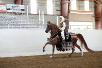 Class 320 Pacific Slope Champ HA/AA Mounted Native Costume Open