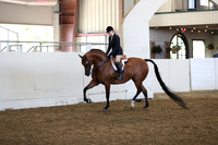 Class 319 Pacific Slope Champ HA/AA Hunter Pleasure AAOTR