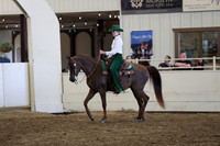 Class 321 Pacific Slope Champ Arabian Western Pleasure JTR 18 & under