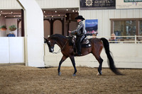 Class 323 Pacific Slope Champ Arabian Western Pleasure Jackpot AAOTR
