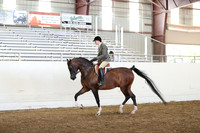 Class 324 Pacific Slope Champion HA/AA Hunter Pleasure Open