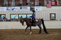 Class 325 Pacific Slope Champion Arabian Western Pleasure AAOTR