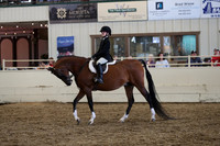 Class 328 Pacific Slope Champion Walk/Jog Equitation All Seats 10 & Under