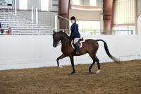Class 330 Pacific Slope Champion Arabian Hunter Pleasure Jackpot AAOTR