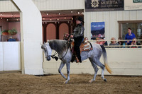 Class 331 Pacific Slope Champion HA/Aa Western Pleasure Jr Horse