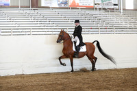 Class 333 Pacific Slope Arabian Show Hack ATR
