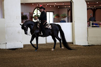 Class 334 Pacific Slope Champion Arabian Western Pleasure Open