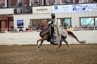 Class 335 Pacific Slope Champion Arabian Mounted Native Costume Open