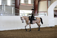 Class 338 Pacific Slope Champion HA/AA Western Pleasure AAORTR