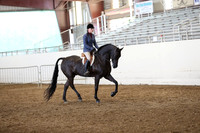Class 339 Pacific Slope Champion HA/Aa Hunter Pleasure Jr Horse