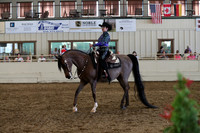 Class 344 Pacific Slope Champion Arabian Western Pleasure Elite/Choice