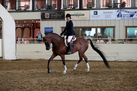 Class 345 Pacific Slope Champion Arabian Hunter Pleasure ATR Elite/Choice