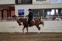 Class 348 Pacific Slope Champion Arabian Western Pleasure Junior Horse 5 & Under