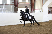 Class 349 Pacific Slope Champion HA/AA English Show Hack Open