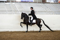 PacSlope19_SunPM_7718