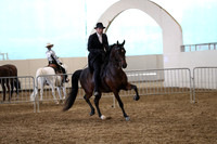 Class 351 Pacific Slope Champion HA/Aa Country English Pleasure Junior Horse
