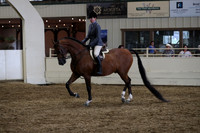 Class 352 Pacific Slope Champion HA/Aa Hunter Pleasure ATR Select
