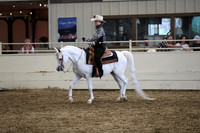Class 353 Pacific Slope Champion HA/AA Western Pleasure JTR 18 yrs/under