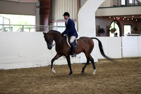 Class 354 Pacific Slope Champion Arabian Hunter Pleasure Ope