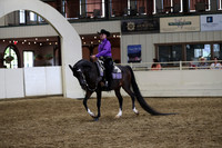Class 356 Pacific Slope Champion HA/AA Western Pleasure ATR Select