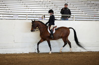 Class 314 Pacific Slope Champ Arabian Hunter Pleasure ATR Select