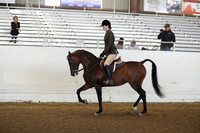 PacSlope19_SunAM_5837