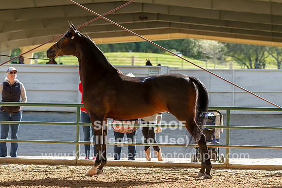 AHANC19_B_SAT_5080