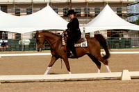 Western Dressage
