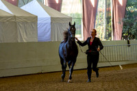 AHANC19_B_PS_Halter_5978