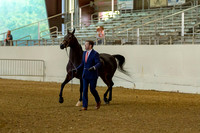 AHANC19_B_PS_Halter_5972
