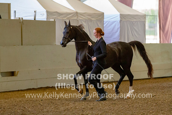 AHANC19_B_PS_Halter_6013