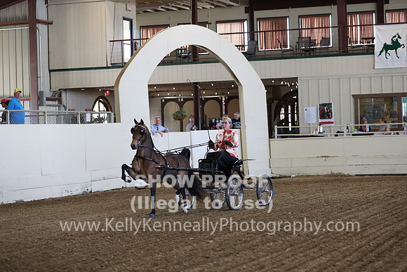 CA_Springfest19_ThursPM_8189