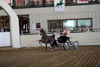 Class 1 Hackney Harness Pony Open