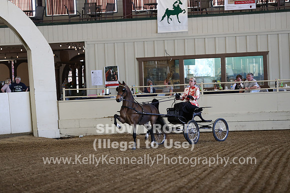 CA_Springfest19_ThursPM_8187