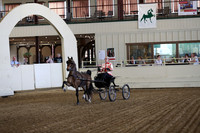 CA_Springfest19_ThursPM_8188