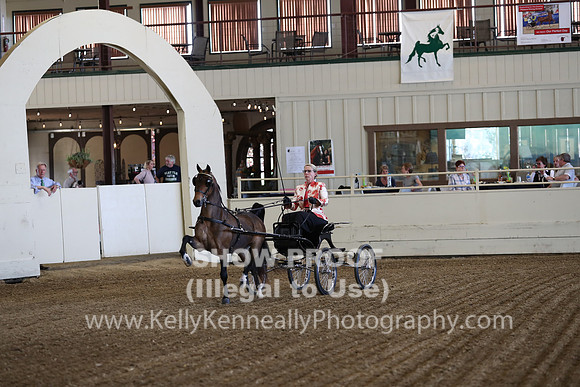 CA_Springfest19_ThursPM_8188