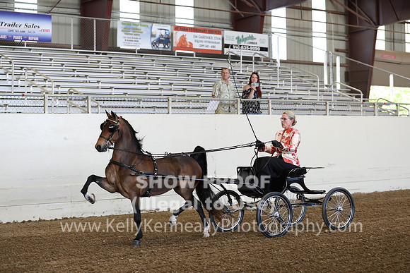 CA_Springfest19_ThursPM_8192